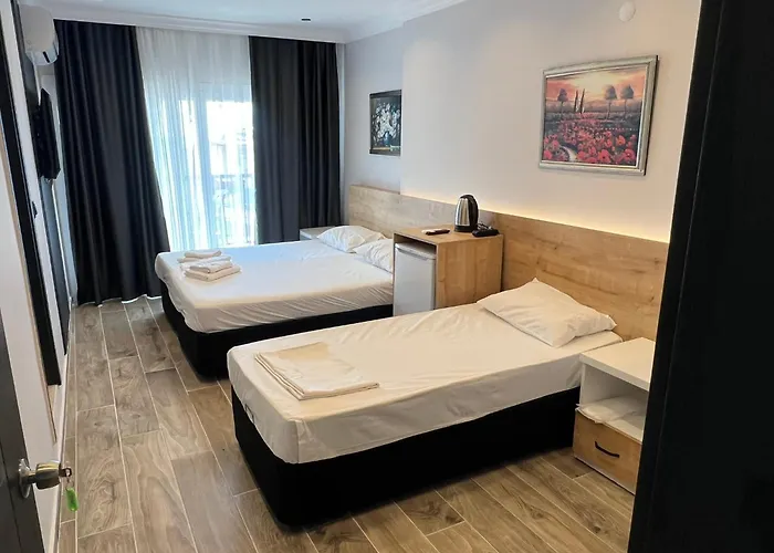 Hotel Ada Park *